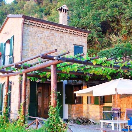 Bellezza In Cilento Panoramic Apts Castellabate Exterior photo