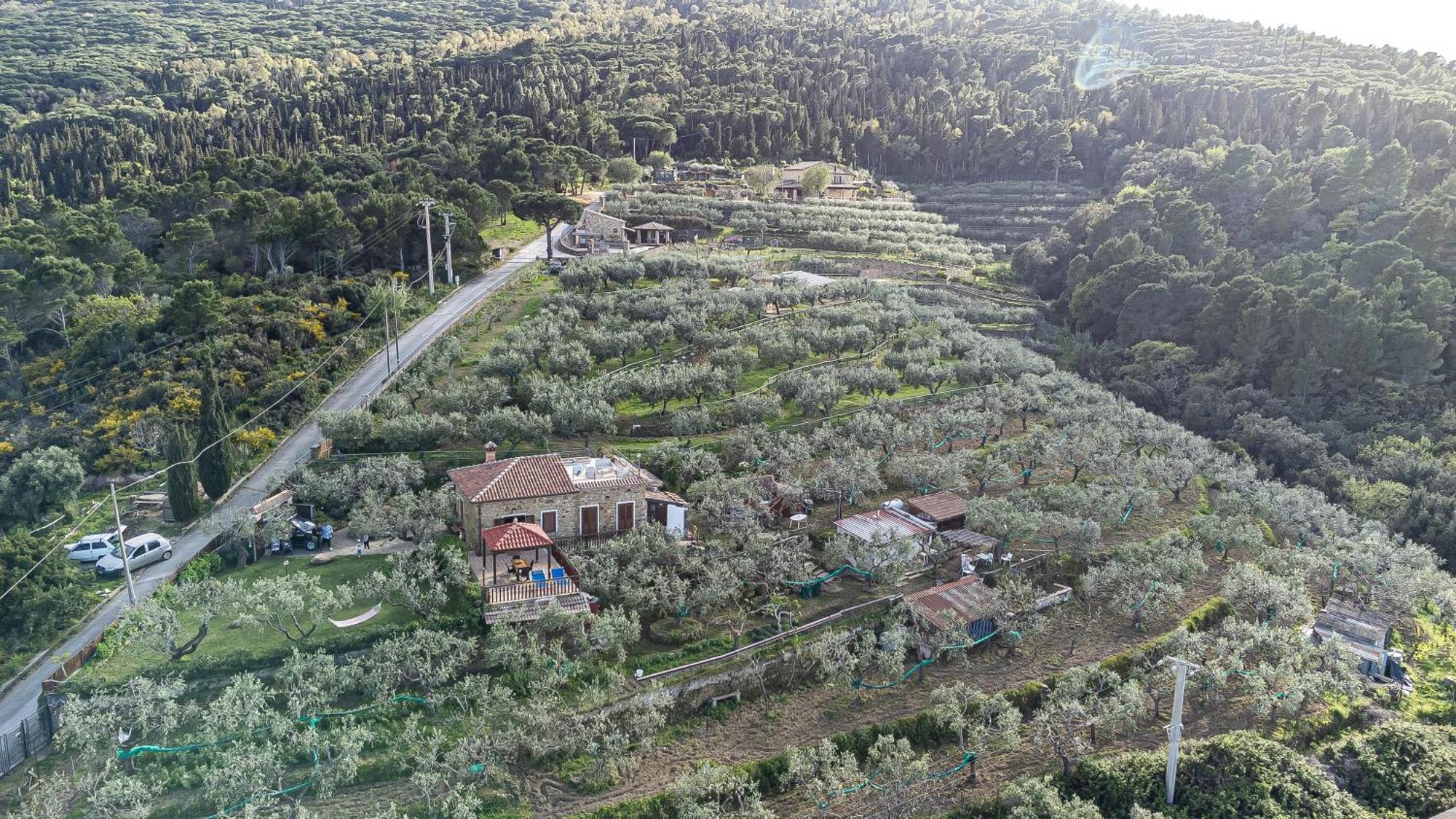 Bellezza In Cilento Panoramic Apts Castellabate Exterior photo